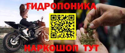 эйфоретик Кимры