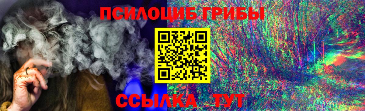 Псилоцибиновые грибы Psilocybine cubensis  Вход с VPN  Советская Гавань 